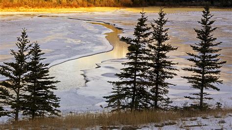 HD wallpaper: Jasper Lake, Jasper National Park, Alberta, Winter | Wallpaper Flare