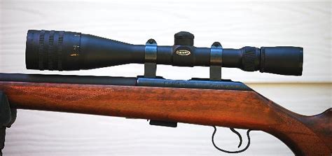 What Are The Best CZ 455 Scope Rings?