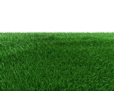 Grass Field Png By Dabbex30 On Deviantart Grass Field Grass | Porn Sex Picture