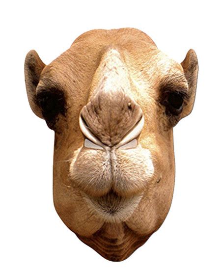 Camel Animal Card Party Face Mask. In Stock Now with Free UK Delivery ...