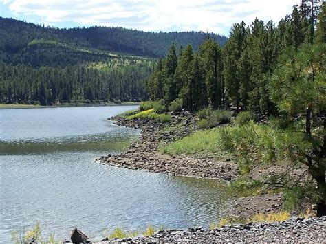 Greer, AZ in the stunning White Mountains | Places to go, Arizona, Best ...