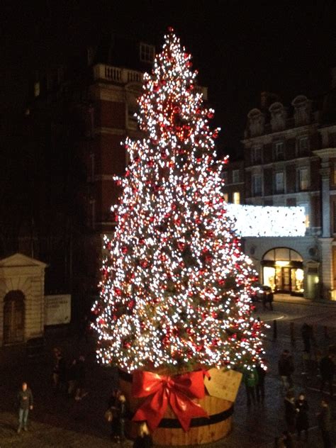 Covent Garden Christmas Tree, London November 2012.