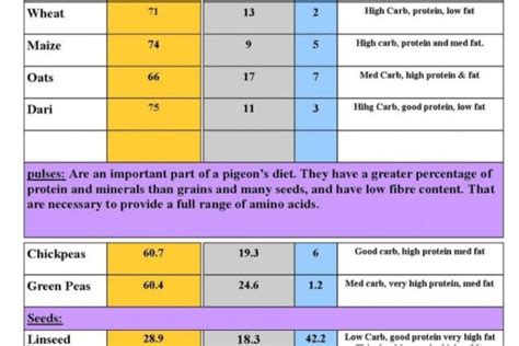 Nutrition | Winning Pigeon Racing and Racing Pigeons Strategies ...