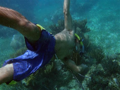 The BEST Snorkeling in Cancun | CARM Blog