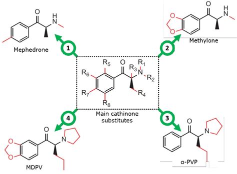 6 Synthetic cathinones can be derived from cathinone through a variety ...