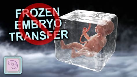 IVF Frozen Embryo Transfer Process - When should you cancel? - YouTube