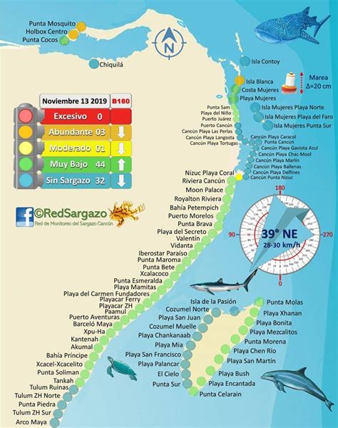 Check out the regularly updated Sargassum seaweed map below to see ...