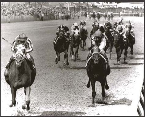 Secretariat winning the Kentucky Derby | Secretariat horse, Kentucky ...