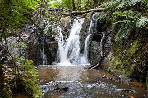 Olinda Falls - Eloped