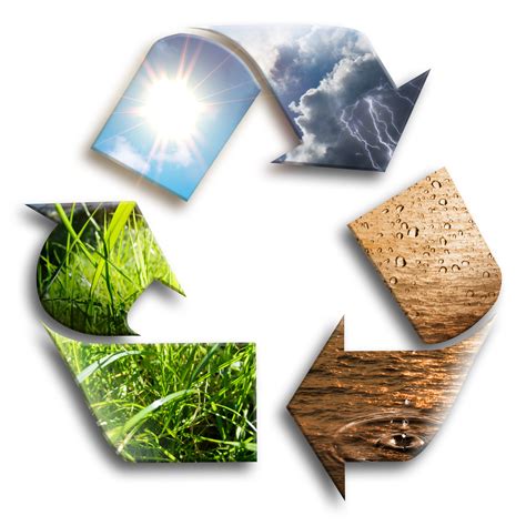 Biodegradable Plastics Poised for Growth in 2019 | Eagle Flexible Packaging