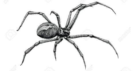 Cute Spider Drawing | Free download on ClipArtMag