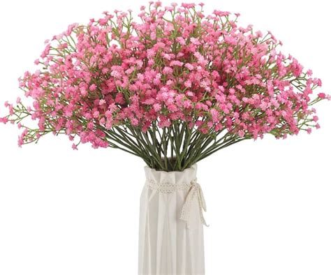 Amazon.com: pink babys breath