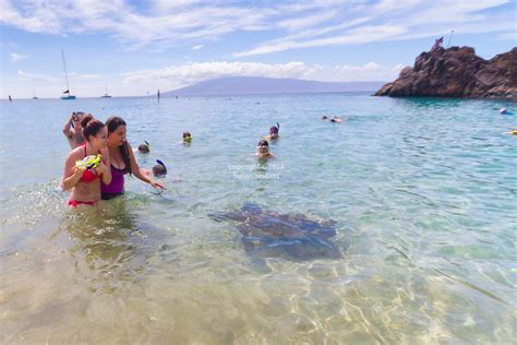 Snorkeling at Black Rock on Kaanapali Beach, Maui | Commercial Travel ...