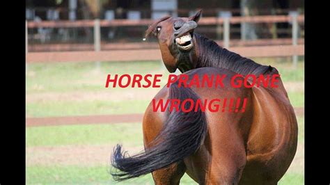 HORSE PRANK GONEWRONG!!!!!!!!! - YouTube