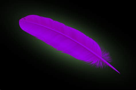 Purple Feather Meaning and Symbolism | Color Meanings