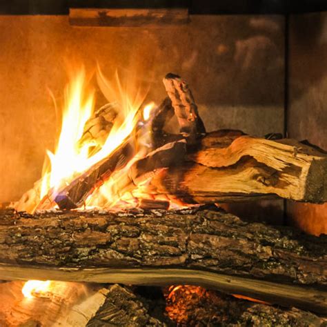 What is the best wood to burn in your fireplace? Does it Matter?