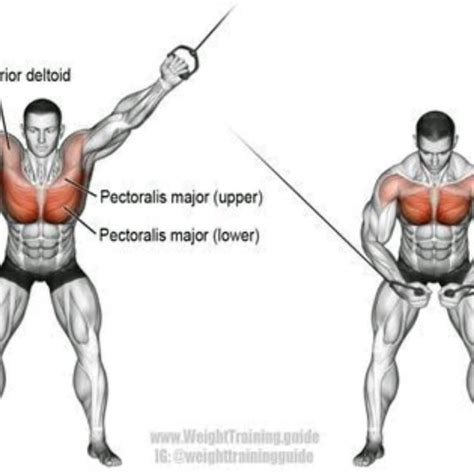 High Cable Chest Fly by Manuele Magurno - Exercise How-to - Skimble