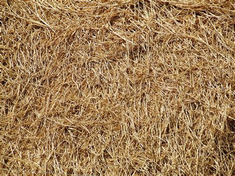 Hay Straw Bale - Free photo on Pixabay - Pixabay