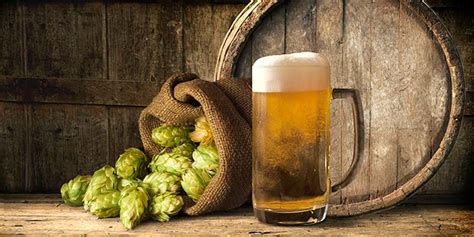 10 Reasons To Start Homebrewing :: Kegerator.com