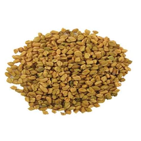 FENUGREEK SEEDS - Durvesh Insternational