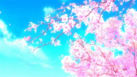 HD wallpaper: Sakura Cherry Blossom HD, pink cherry blossoms, flowers, japanese | Wallpaper Flare