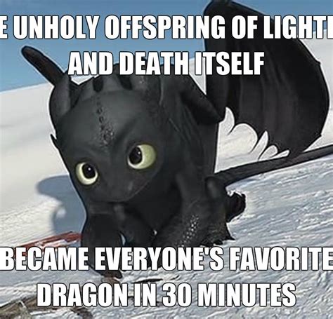 Pin by Snowy Frost on Dreamworks | How train your dragon, Httyd funny, How to train dragon