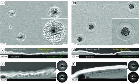 Scanning electron microscopy images of hafnia films deposited with (a ...