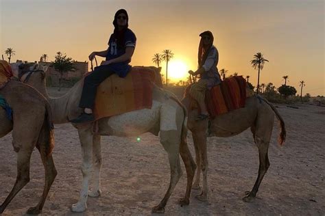 Half-Day Sunset Camel Ride In The Palm Grove Of Marrakech : Things To Do In Marrakech ...