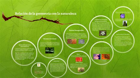 Relación de la geometría con la naturaleza by Andrea Morán on Prezi