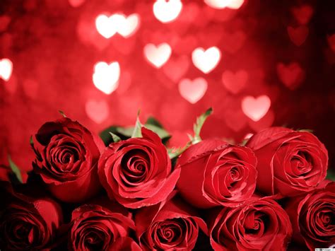 100 Wallpapers De Rosas Y Corazones Fondos De Pantalla En 2021 | Images and Photos finder