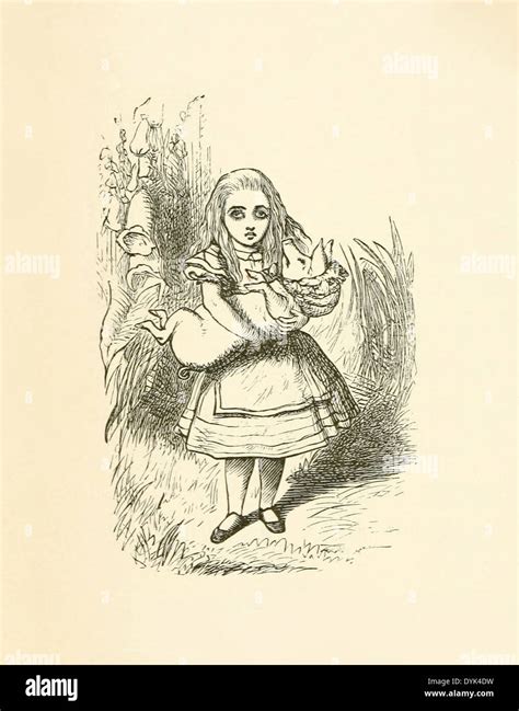 John Tenniel (1820-1914) Ilustración de Lewis Carroll "Alicia en el país de las Maravillas ...