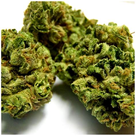 Strain Guide — Green Dragon Cannabis