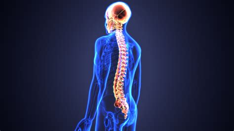 Spinal Cord Injury - What Happens During an Accident? - Meds Chrome