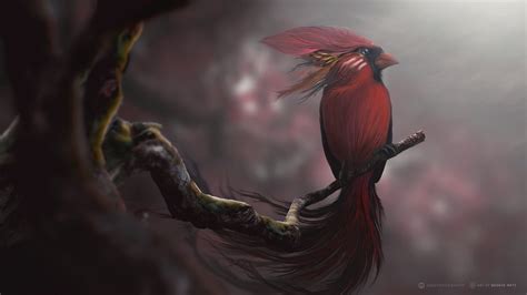 Red Bird Digital Art Wallpaper,HD Birds Wallpapers,4k Wallpapers,Images,Backgrounds,Photos and ...