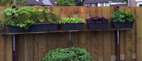 Vegetable garden on the fence | Vegetable garden, Plants, Garden