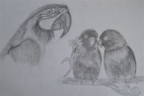 Pencil Drawing Love Birds - bestpencildrawing