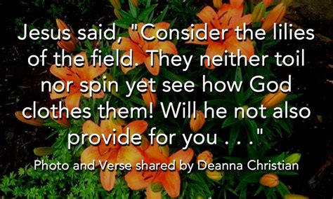 Lilies Of The Field, Jesus Quotes, Verse, Christian, Times, God ...