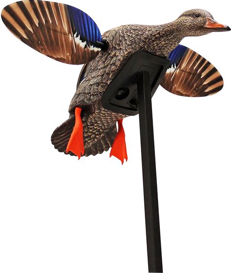 Best Motion Duck Decoys of 2021 – Ultimate Round-up