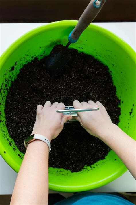 Soil Blocking 101: Grow Healthier Seedlings! | Boreal Bloom Homestead