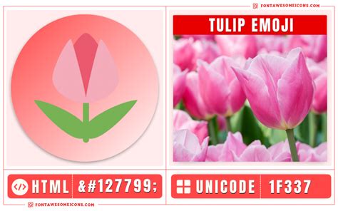 Tulip Emoji Copy Paste, Meaning | Unicode