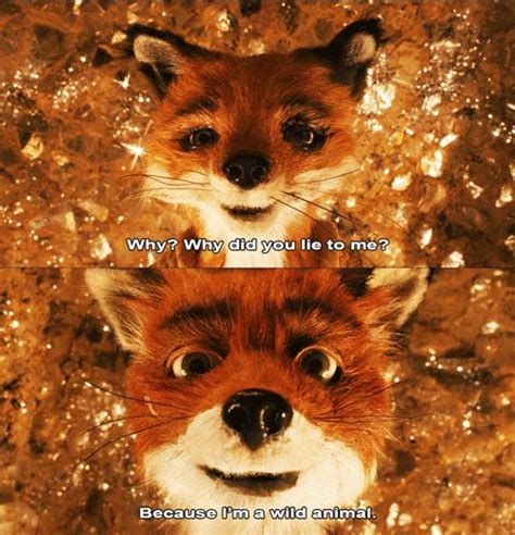 from The Fantastic Mr. Fox | Fantastic mr fox, Fantastic mr fox quotes ...