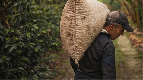 COFFEE 101: BRIEF HISTORY OF COFFEE IN THE PHILIPPINES — IKOT.PH