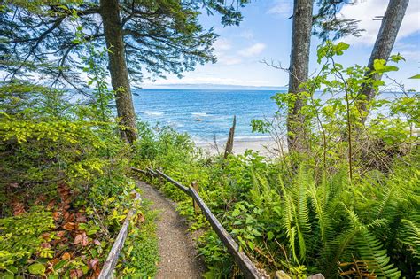 The Beach – Olympic Peninsula Waterfront Cabins