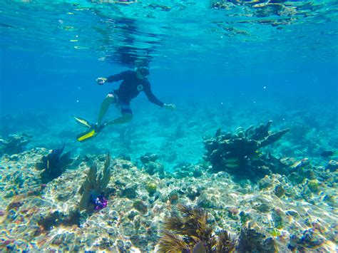 Key West Snorkeling Tours: Explore the Sea - Cabana Inn