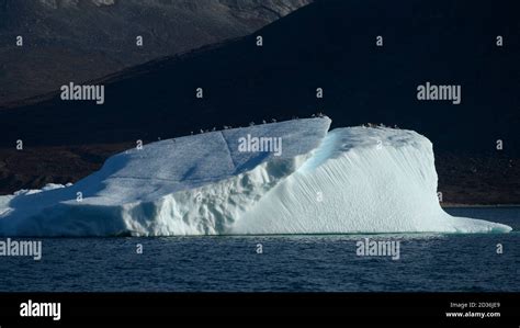 Icebergs floating in the Labrador Sea, Nuuk Fjord, Sermersooq ...