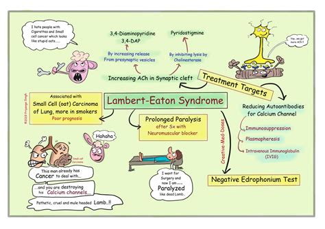 Lambert Eaton syndrome: NMJ disorder - Creative Med Doses