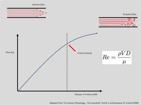 The Pump and the Tubes: Hemodynamics -- Turbulence & flow separation