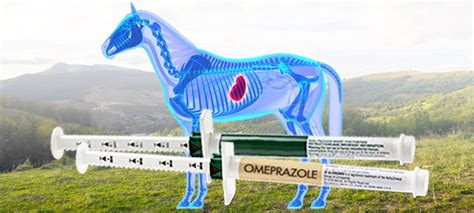 Omeprazole for Horses with Ulcers: The Good & Bad - BioStar US