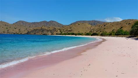 5 Aktivitas Seru di Kawasan Wisata Pulau Komodo – Clevaster