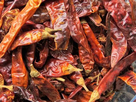 Dried Red Chili Peppers | Troyer's Spices